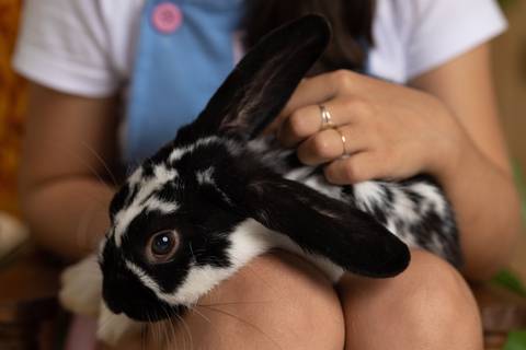 Fotografia de Páscoa pelo fotógrafo Ander Lopes, em Taquara'