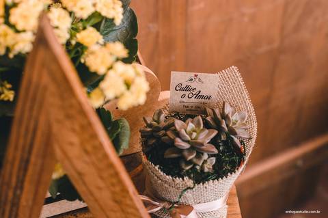 Lembrancinha de casamento sustentável com suculentas no casamento intimista de Gláucia e Fernando em Piracicaba.'