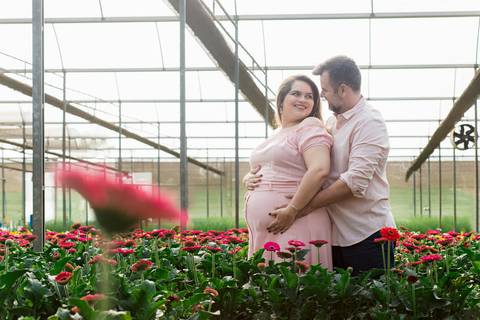 fotografia de gestante em holambra 
vestido gestante roupa figurino'