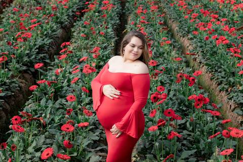 fotografia de gestante em holambra 
vestido gestante roupa figurino'