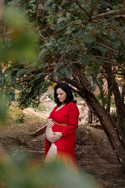 fotografia de gestante em holambra 
vestido gestante roupa figurino'
