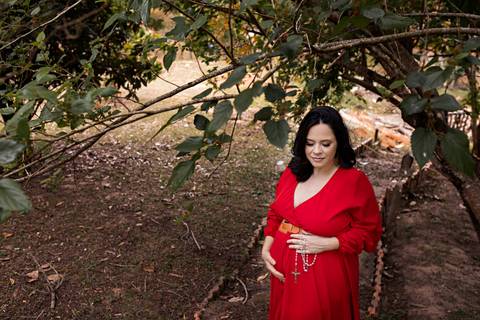 fotografia de gestante em holambra 
vestido gestante roupa figurino'