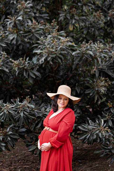 fotografia de gestante em holambra 
vestido gestante roupa figurino'