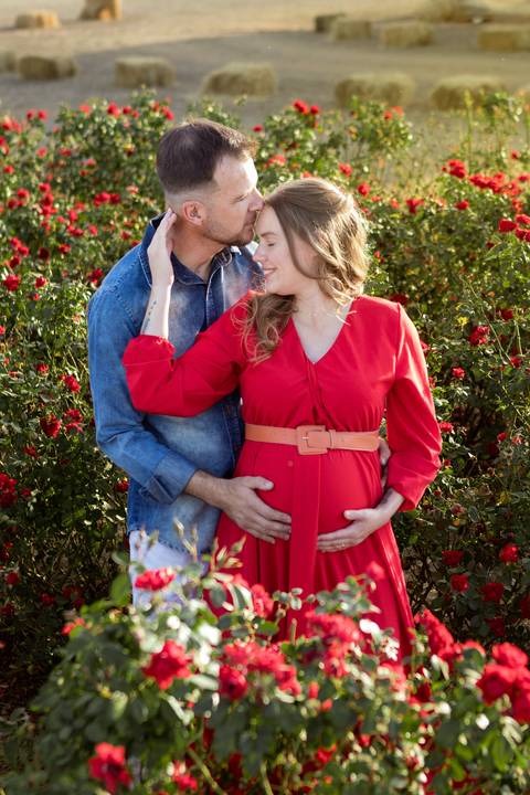 fotografia de gestante em holambra 
vestido gestante roupa figurino'