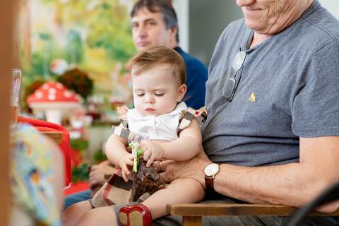 aniversario 01 ano tema bosque menina no colo do avô'