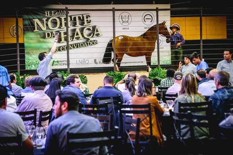 Fotógrafo de eventos em Londrina-Pr registra leilão de cavalos na Expo Londrina.'