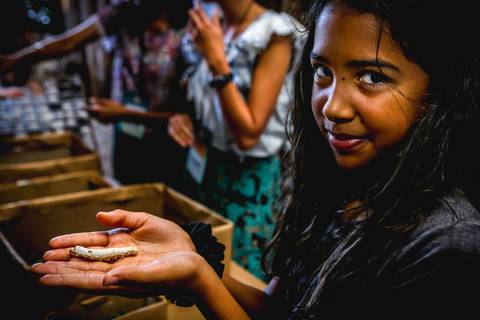 Estudante do ensino público segura uma lagarta do bicho da seda. Imagem do fotógrafo de eventos Roberto Custódio no Parque Governador Ney Braga em Londrina Pr.'