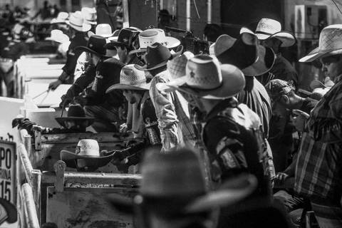 Fotografia de eventos em preto e branco com peões de rodeio no brete antes de montar em touros na Expo Londrina.'