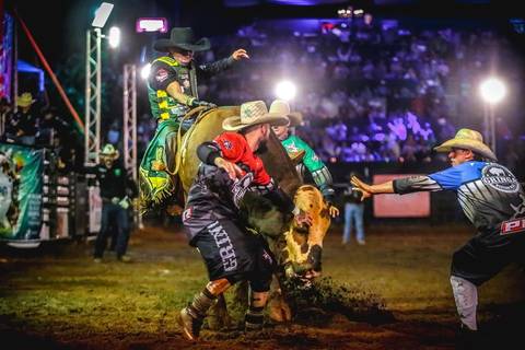 Repórter fotográfico de londrina-Pr registra momento em que salva vidas de rodeio contém um touro na arena'