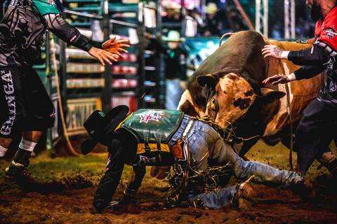 Touro ameaça peão de rodeio em fotografia de eventos por Roberto Custódio de Londrina Pr.'