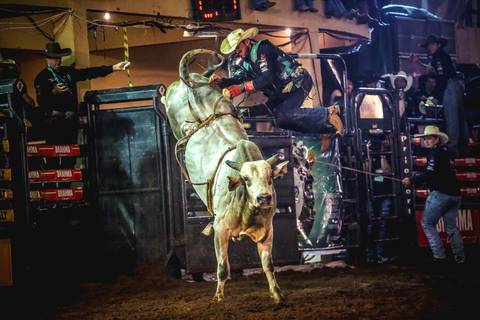 Detalhe de um peão de rodeio sendo arremessado de cima de um touro em fotografia de eventos em Londrina Pr.'