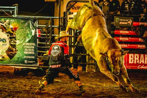 Salva vidas de rodeio e touro se encaram, o fotografo de eventos de londrina Roberto Custodio não perdeu o momento.'