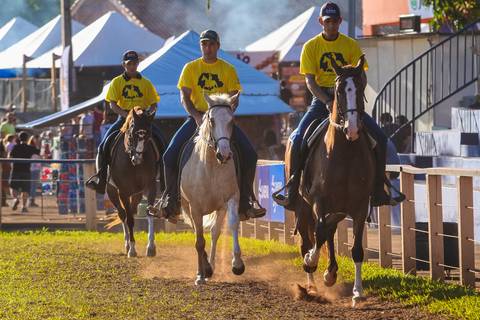 Cavalos Mangalarga desfilam ao público em fotografia de eventos durante Exposição Agropecuária de Londrina-pr.'