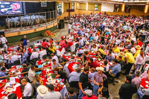 Fotografia de Leilão Dez marcas no recinto José Garcia Molina promovido pelos criadores de gado Alexandre Turquino e José Moacir Turquino.'
