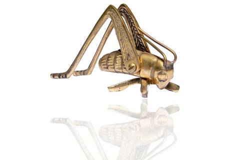 Fotografia comerial de um grilo pelas lentes do fotógrafo de produtos Roberto Custodio em Londrina-PR-Brasil.'