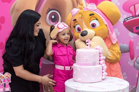 Aniversário infantil temático Patrulha Canina com decoração Skye'