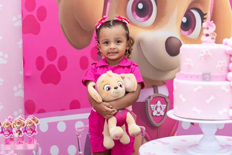 Detalhes da decoração da festa infantil Skye da Patrulha Canina'