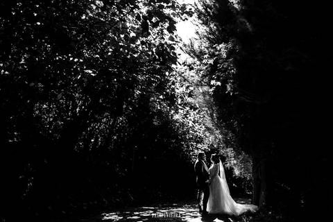 Retrato preto e branco de noivos em ensaio externo com silhueta e luz guiando para os noivos'