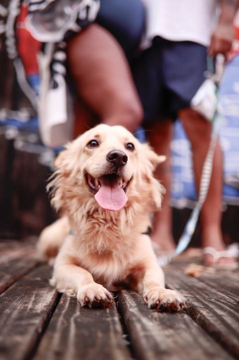 Entre risos e olhares apaixonados, Milly & Lucas aproveitam cada momento mágico do ensaio gestacional à beira-mar em Praia do Forte, registrando uma espera cheia de cumplicidade e alegria. Os detalhes do cenário natural se entrelaçam com a expressão de fe'