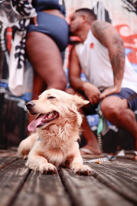 Entre risos e olhares apaixonados, Milly & Lucas aproveitam cada momento mágico do ensaio gestacional à beira-mar em Praia do Forte, registrando uma espera cheia de cumplicidade e alegria. Os detalhes do cenário natural se entrelaçam com a expressão de fe'