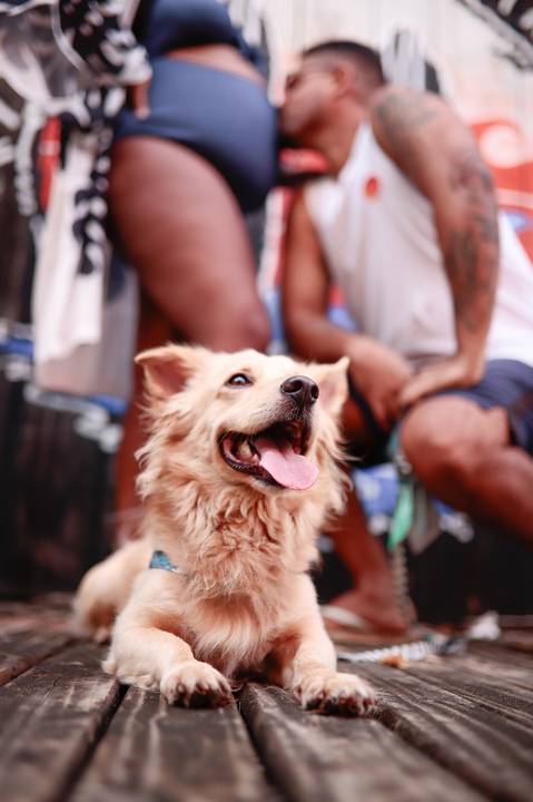 O ensaio gestacional de Milly & Lucas em Praia do Forte é uma celebração visual do amor, da família e da espera pelo pequeno Moisés, com cada foto contando uma história única e especial. As expressões faciais e os gestos carinhosos entre o casal transmite'
