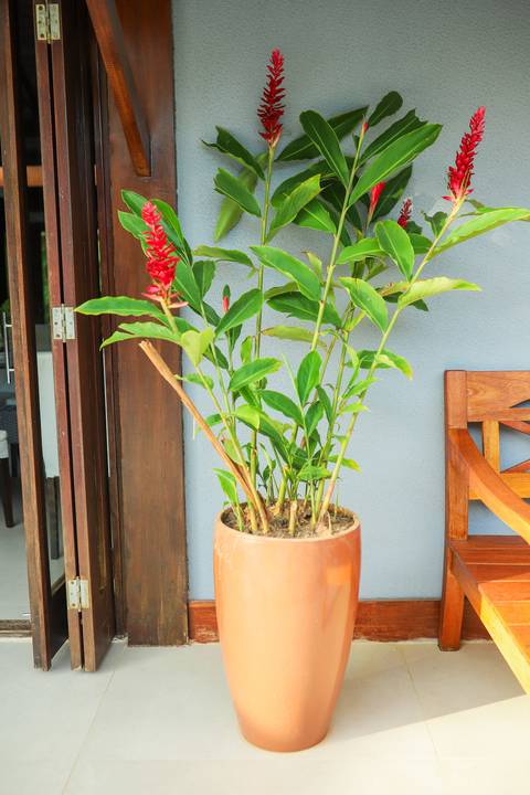 Celebrando a vida: Ayres eternizado em imagens repletas de significado e emoção em Guarajuba.'