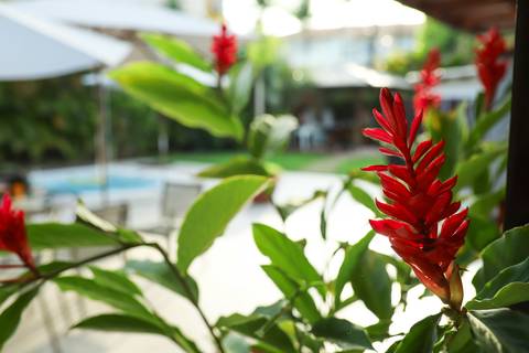 Celebrando a vida: Ayres eternizado em imagens repletas de significado e emoção em Guarajuba.'