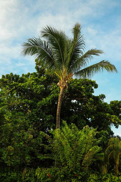 Celebrando a vida: Ayres eternizado em imagens repletas de significado e emoção em Guarajuba.'