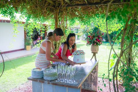 Aniversário ao ar livre: celebração única com amigos e família na Praia do Forte Bahia, registrada em imagens vibrantes'