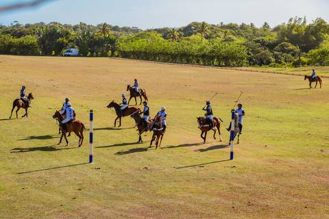 Elegância e competição no V Torneio Polomar! No Polo Club, o polo mostrou porque é um dos esportes equestres mais fascinantes do mundo'