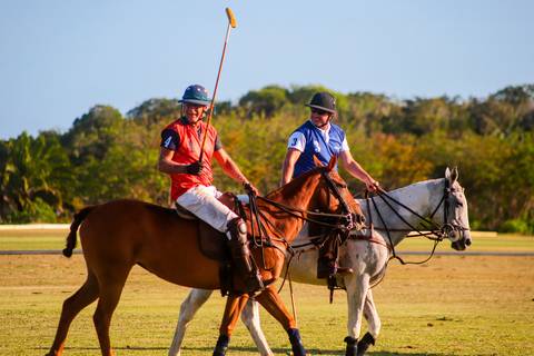 O V Torneio de Ano Novo Polomar trouxe emoção ao Polo Club em Praia do Forte. Um espetáculo de habilidade, estratégia e paixão pelo polo, esporte equestre de grande tradição.'