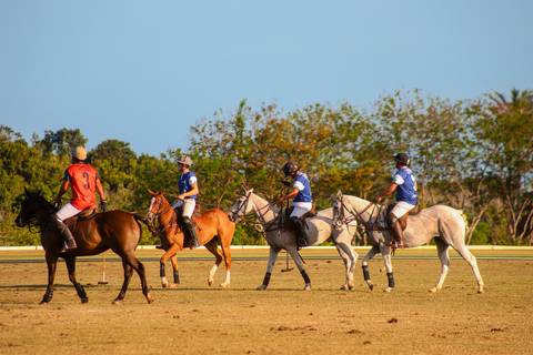 O V Torneio de Ano Novo Polomar trouxe emoção ao Polo Club em Praia do Forte. Um espetáculo de habilidade, estratégia e paixão pelo polo, esporte equestre de grande tradição.'