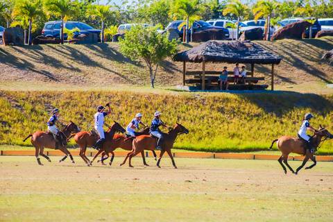 Polo, o esporte equestre que combina velocidade e estratégia. Confira as fotos das emocionantes partidas do V Torneio Polomar no Polo Club, Praia do Forte.'