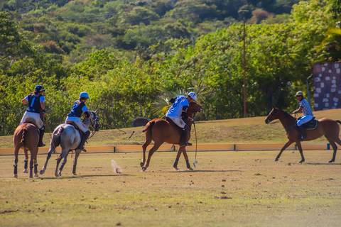 As imagens capturam a força e a elegância do polo. No Polo Club, a tradição e a emoção do esporte equestre brilham no V Torneio Polomar.'