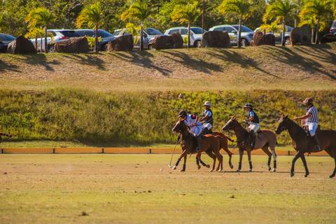 Registros incríveis das partidas no V Torneio Polomar, onde a habilidade dos jogadores e a força dos cavalos criaram momentos inesquecíveis no Polo Club'