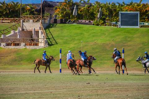 No coração de Praia do Forte, o V Torneio Polomar mostrou a essência do polo. Confira as melhores jogadas e momentos das partidas.'
