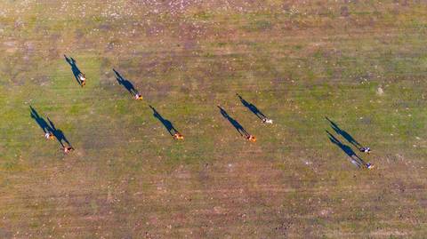 O V Torneio de Ano Novo Polomar trouxe emoção ao Polo Club em Praia do Forte. Um espetáculo de habilidade, estratégia e paixão pelo polo, esporte equestre de grande tradição.'