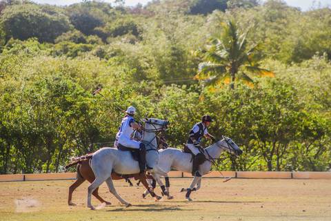 No coração de Praia do Forte, o V Torneio Polomar mostrou a essência do polo. Confira as melhores jogadas e momentos das partidas.'