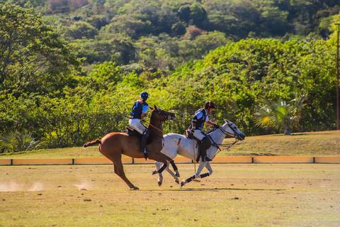 No coração de Praia do Forte, o V Torneio Polomar mostrou a essência do polo. Confira as melhores jogadas e momentos das partidas.'