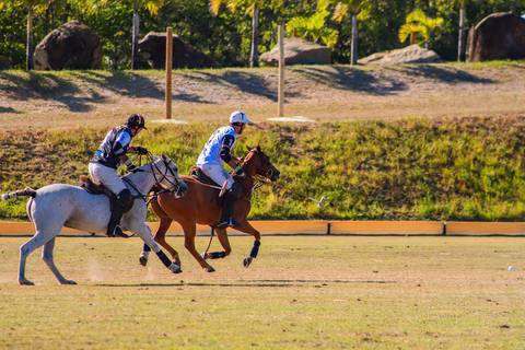 No coração de Praia do Forte, o V Torneio Polomar mostrou a essência do polo. Confira as melhores jogadas e momentos das partidas.'