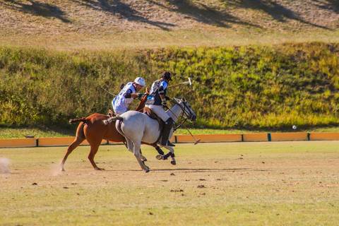 No coração de Praia do Forte, o V Torneio Polomar mostrou a essência do polo. Confira as melhores jogadas e momentos das partidas.'