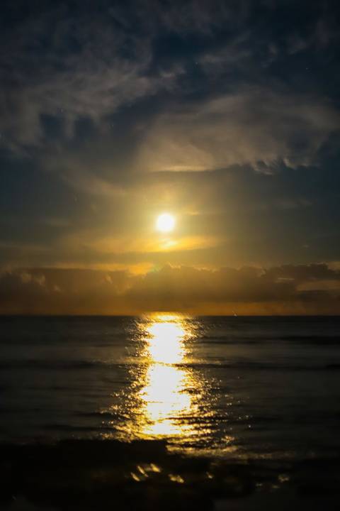 pedido de casamento especial na praia, ensaio fotográfico ao luar, fotógrafo para momentos inesquecíveis Bahia, pedido de casamento ao lado do Projeto Tamar, fotos mágicas na praia de noite, ensaio ao nascer da lua na praia, fotógrafo para pedidos de casa'