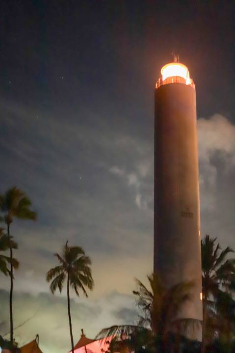 fotografia de casamento Praia do Forte, ensaio fotográfico pedido de casamento Bahia, fotos de casamento ao nascer da lua, fotógrafo em Praia do Forte Bahia, pedido de casamento surpresa na praia, ensaio romântico Praia do Forte, fotos de casal ao lado do'