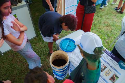 escola bilíngue em Praia do Forte educação premium Bahia Villa Global Education melhores escolas da Linha Verde onde matricular meu filho em Praia do Forte Castelo Garcia D’Ávila eventos plantio de ipê e pau-brasil escolas com foco fotografo praia '