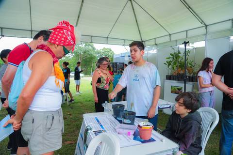 escola bilíngue em Praia do Forte educação premium Bahia Villa Global Education melhores escolas da Linha Verde onde matricular meu filho em Praia do Forte Castelo Garcia D’Ávila eventos plantio de ipê e pau-brasil escolas com foco fotografo praia '
