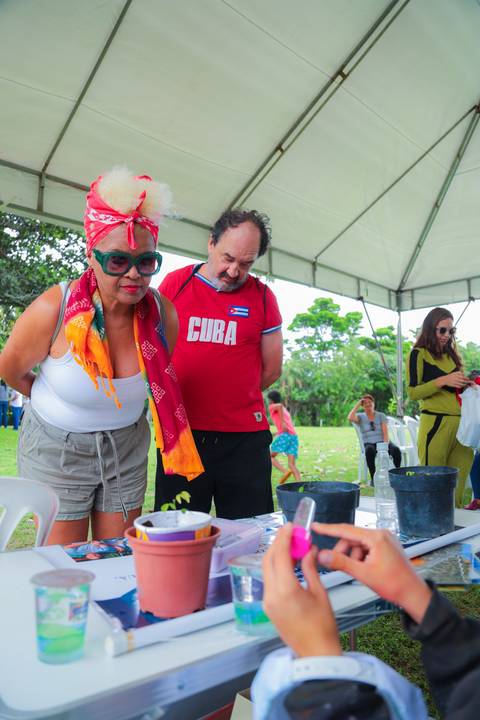 escola bilíngue em Praia do Forte educação premium Bahia Villa Global Education melhores escolas da Linha Verde onde matricular meu filho em Praia do Forte Castelo Garcia D’Ávila eventos plantio de ipê e pau-brasil escolas com foco fotografo praia '