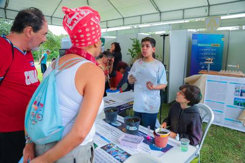 escola bilíngue em Praia do Forte educação premium Bahia Villa Global Education melhores escolas da Linha Verde onde matricular meu filho em Praia do Forte Castelo Garcia D’Ávila eventos plantio de ipê e pau-brasil escolas com foco fotografo praia '