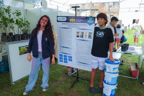 escola bilíngue em Praia do Forte educação premium Bahia Villa Global Education melhores escolas da Linha Verde onde matricular meu filho em Praia do Forte Castelo Garcia D’Ávila eventos plantio de ipê e pau-brasil escolas com foco fotografo praia '