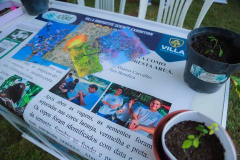 escola bilíngue em Praia do Forte educação premium Bahia Villa Global Education melhores escolas da Linha Verde onde matricular meu filho em Praia do Forte Castelo Garcia D’Ávila eventos plantio de ipê e pau-brasil escolas com foco fotografo praia '