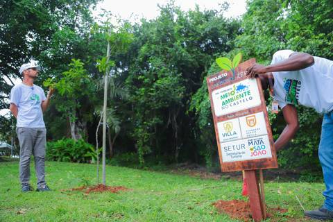 escola bilíngue em Praia do Forte educação premium Bahia Villa Global Education melhores escolas da Linha Verde onde matricular meu filho em Praia do Forte Castelo Garcia D’Ávila eventos plantio de ipê e pau-brasil escolas com foco fotografo praia '